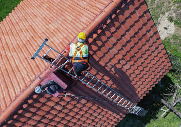 Best Green or Eco-Friendly Roofing Solutions  in Holualoa, HI
